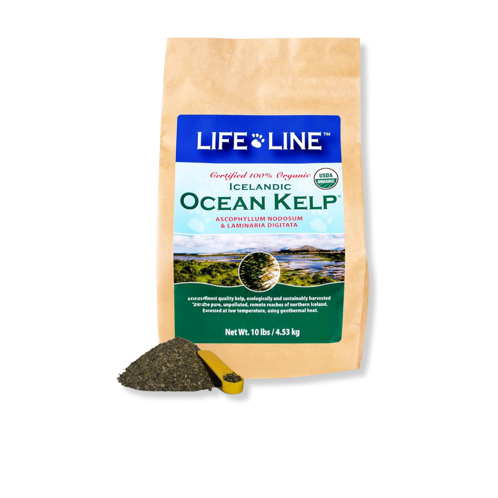 Lifeline Organic Ocean Kelp