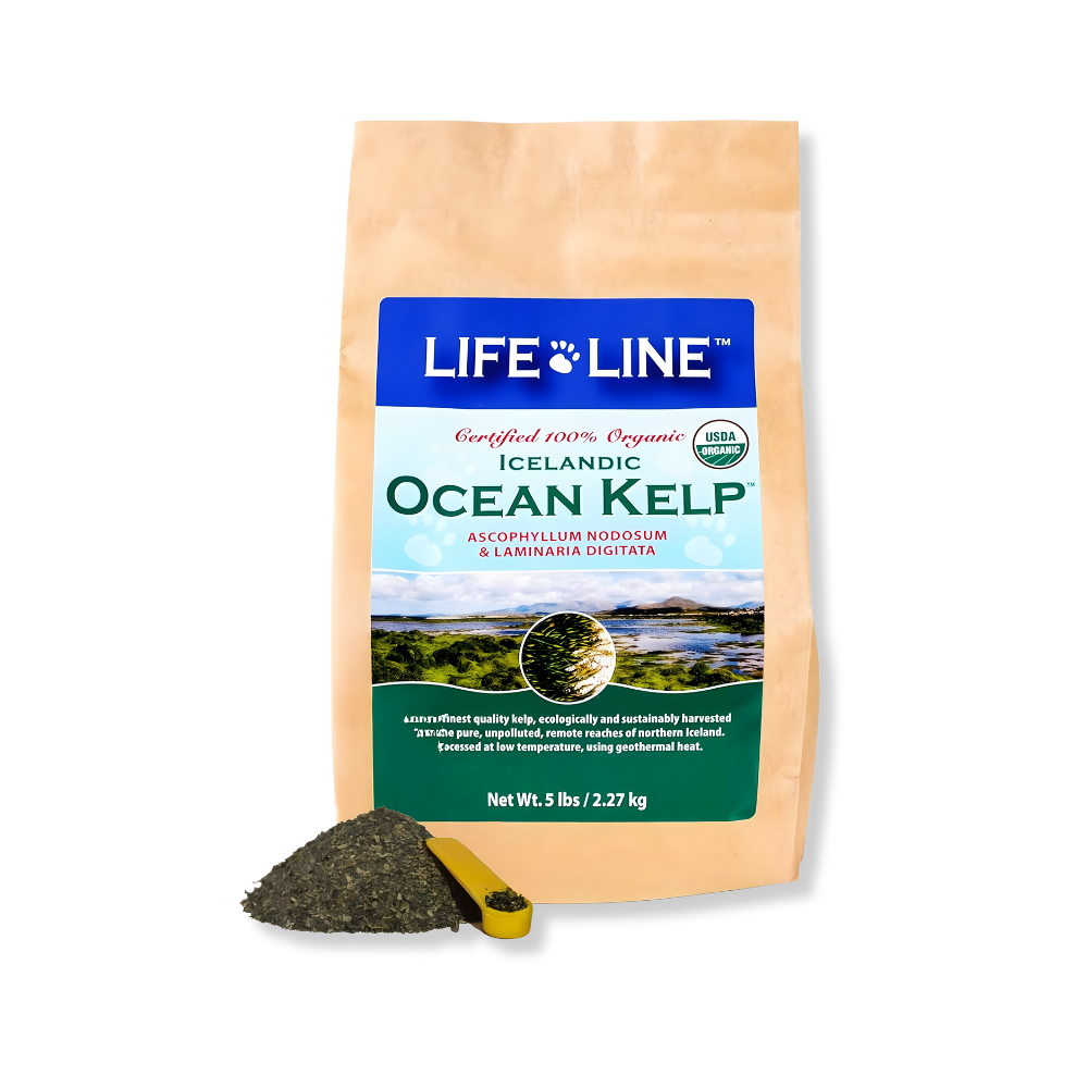 Lifeline Organic Ocean Kelp