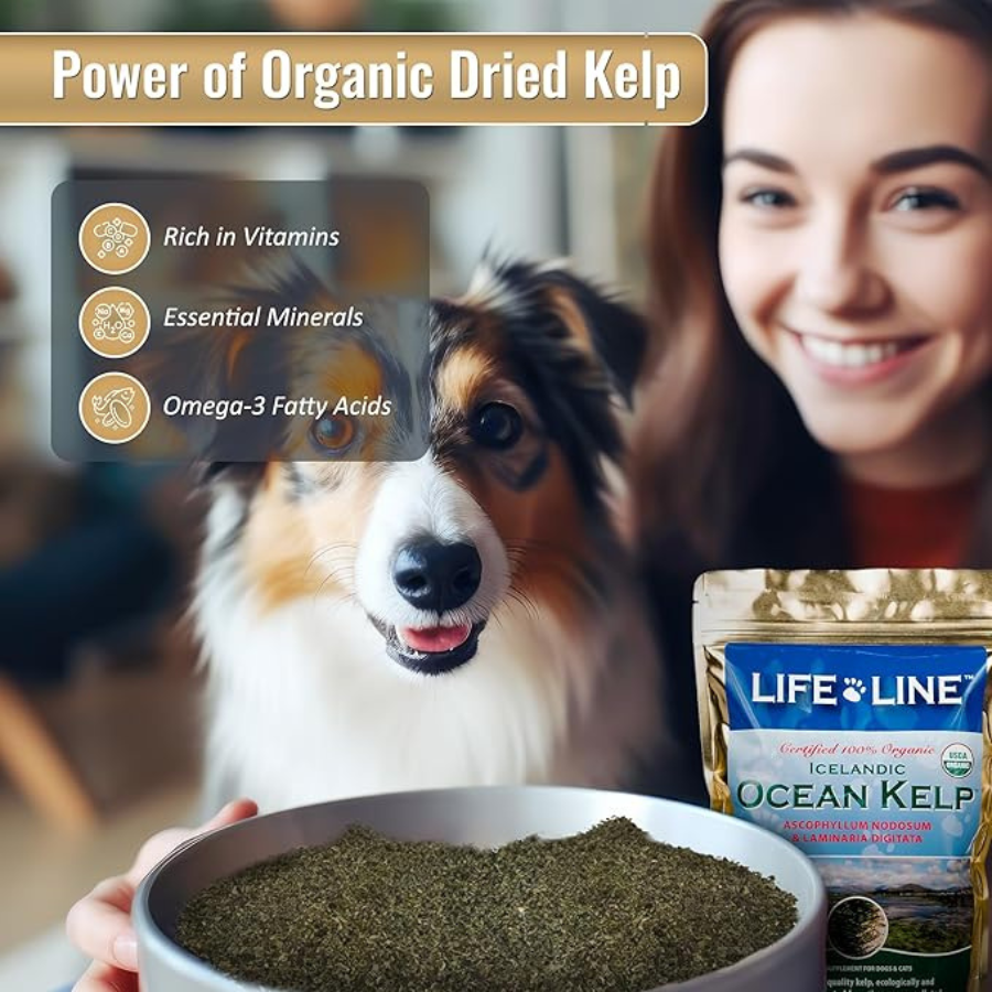 Lifeline Organic Ocean Kelp