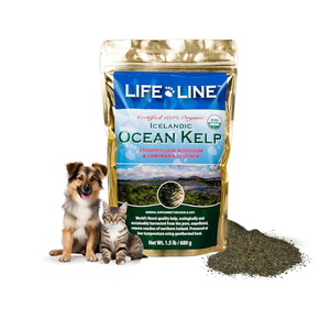 Lifeline Organic Ocean Kelp