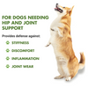 Liquid-Vet Hip and Joint Dog Formula
