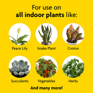 Miracle-Gro Indoor Plant Food 1-1-1 (236 ml)