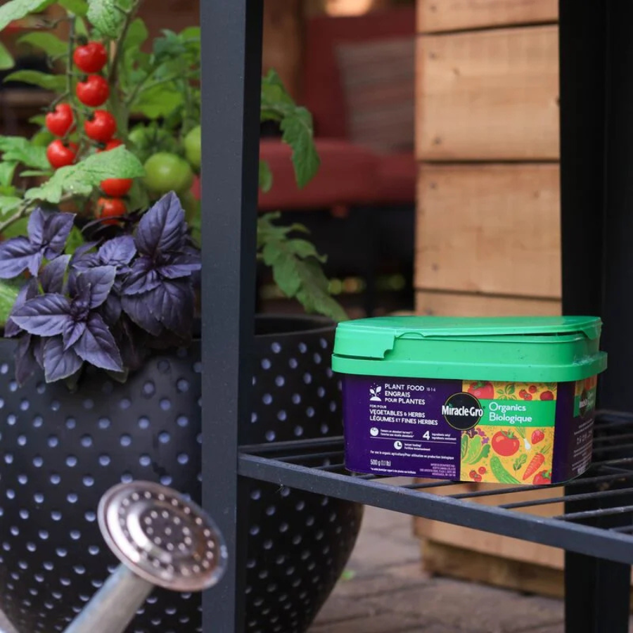 Miracle-Gro Organics Plant Food-Vegetables and Herbs - 500 g