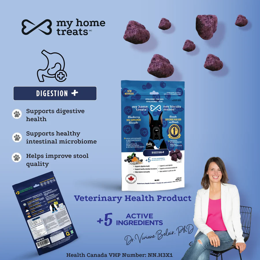My Home Treats Digestion+ Dog Supplement with Blueberries - 6 oz
