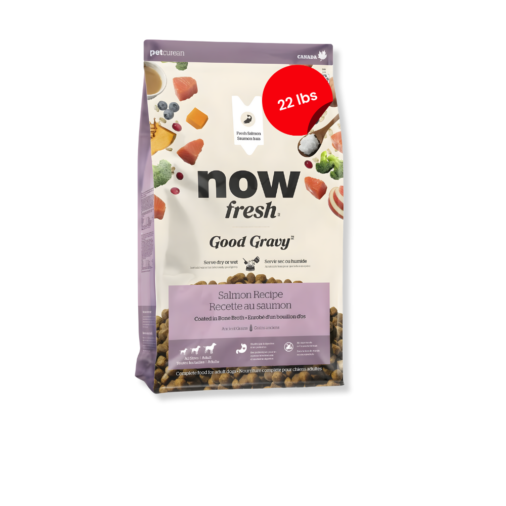 NOW Fresh Good Gravy Adult Salmon