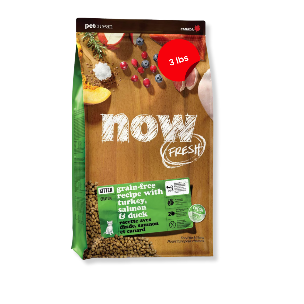 NOW Fresh Grain-Free Kitten Food