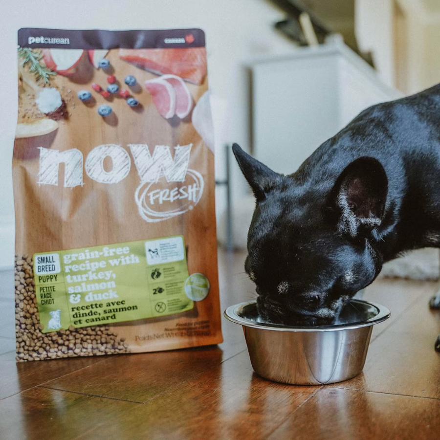 NOW Fresh Grain-Free Puppy Food for Small Breed Dogs