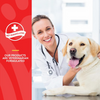 NaturVet Aller-911® Skin and Coat Soft Chews - 90 Chews