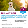 NaturVet ArthriSoothe GOLD - 40 Tabs