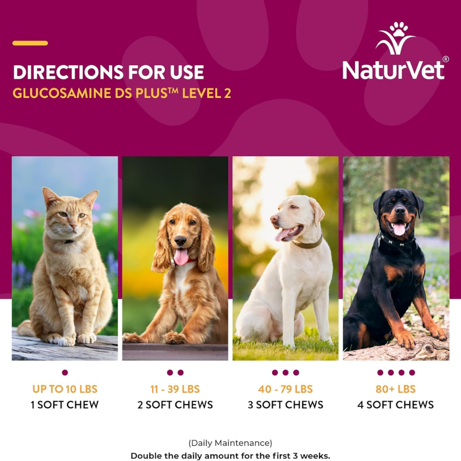 NaturVet Glucosamine DS Level 2