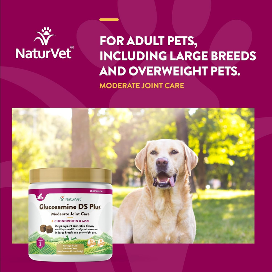 NaturVet Glucosamine DS Level 2