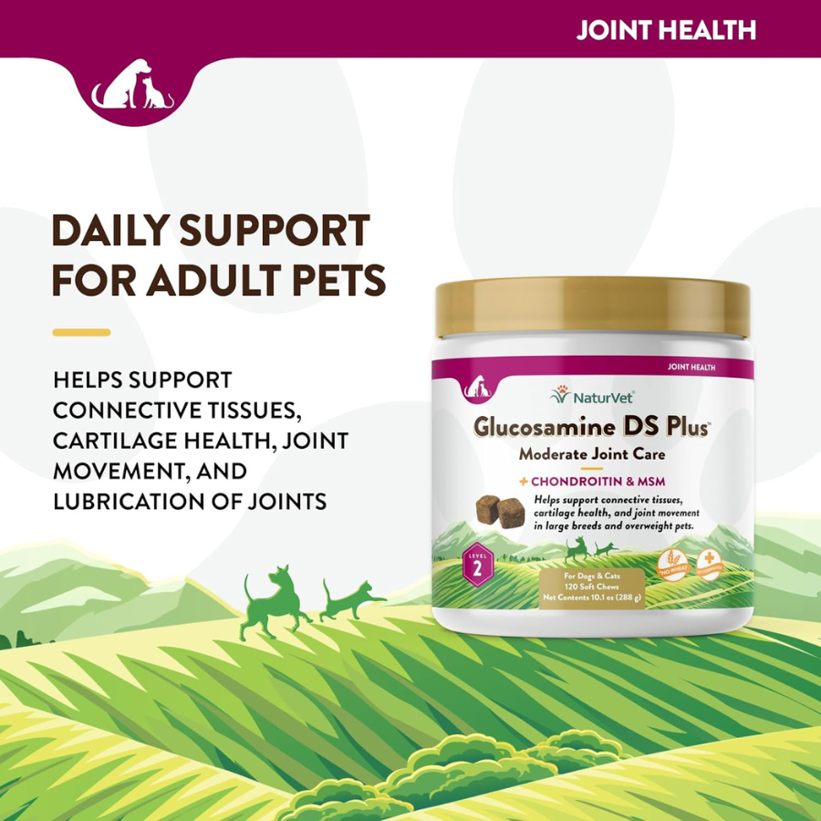 NaturVet Glucosamine DS Level 2