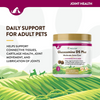 NaturVet Glucosamine DS Level 2