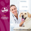 NaturVet Glucosamine DS Level 2