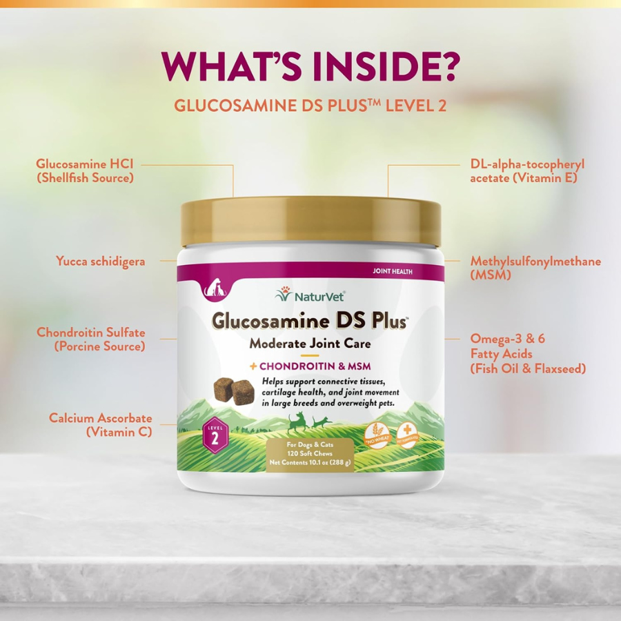 NaturVet Glucosamine DS Level 2