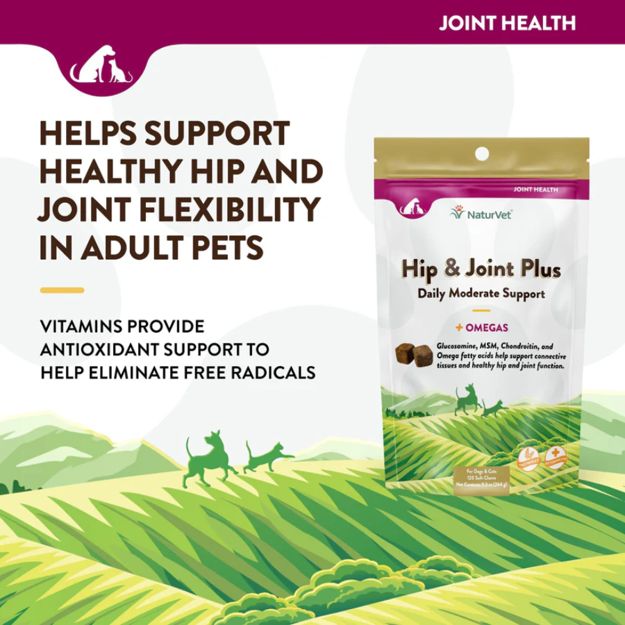 NaturVet Hip and Joint Soft Chews - 120 Count