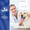 NaturVet NaturVet Soft Chew Stool Ease