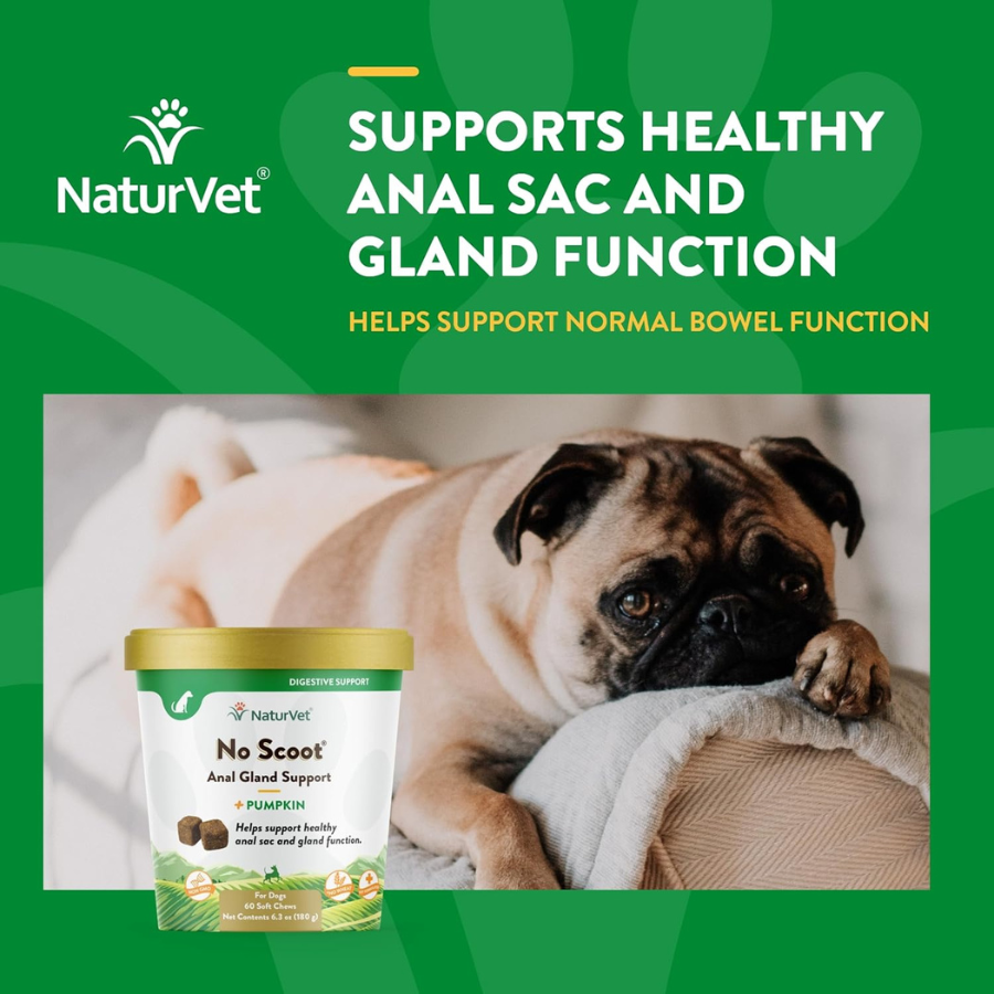 NaturVet No Scoot Plus Pumpkin - 60 Chews