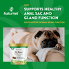 NaturVet No Scoot Plus Pumpkin - 60 Chews