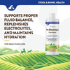 NaturVet Pet Electrolyte Concentrate for Dogs and Cats - 16 oz