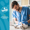 NaturVet Soft Chew Quiet Moments with Melatonin for Cats - 60 Chews