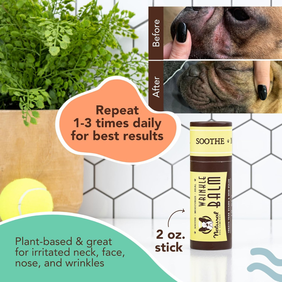 Natural Dog Company 5 Piece Travel Set