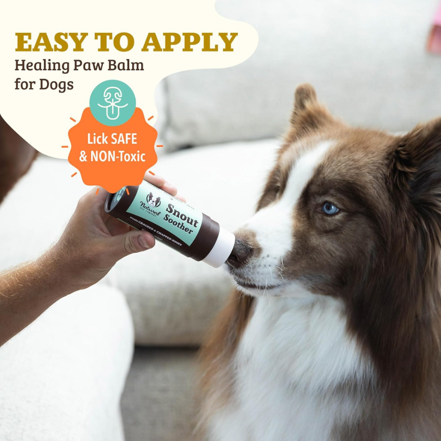 Natural Dog Company Snout Soother