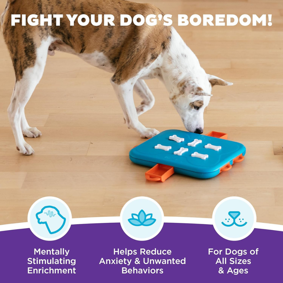 Nina Ottosson Dog Casino Puzzle