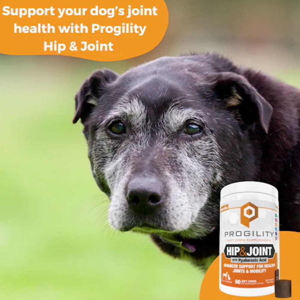 Nootie Progility Soft Chew Supplement Hip and Joint Care for Dogs - 90 Chews