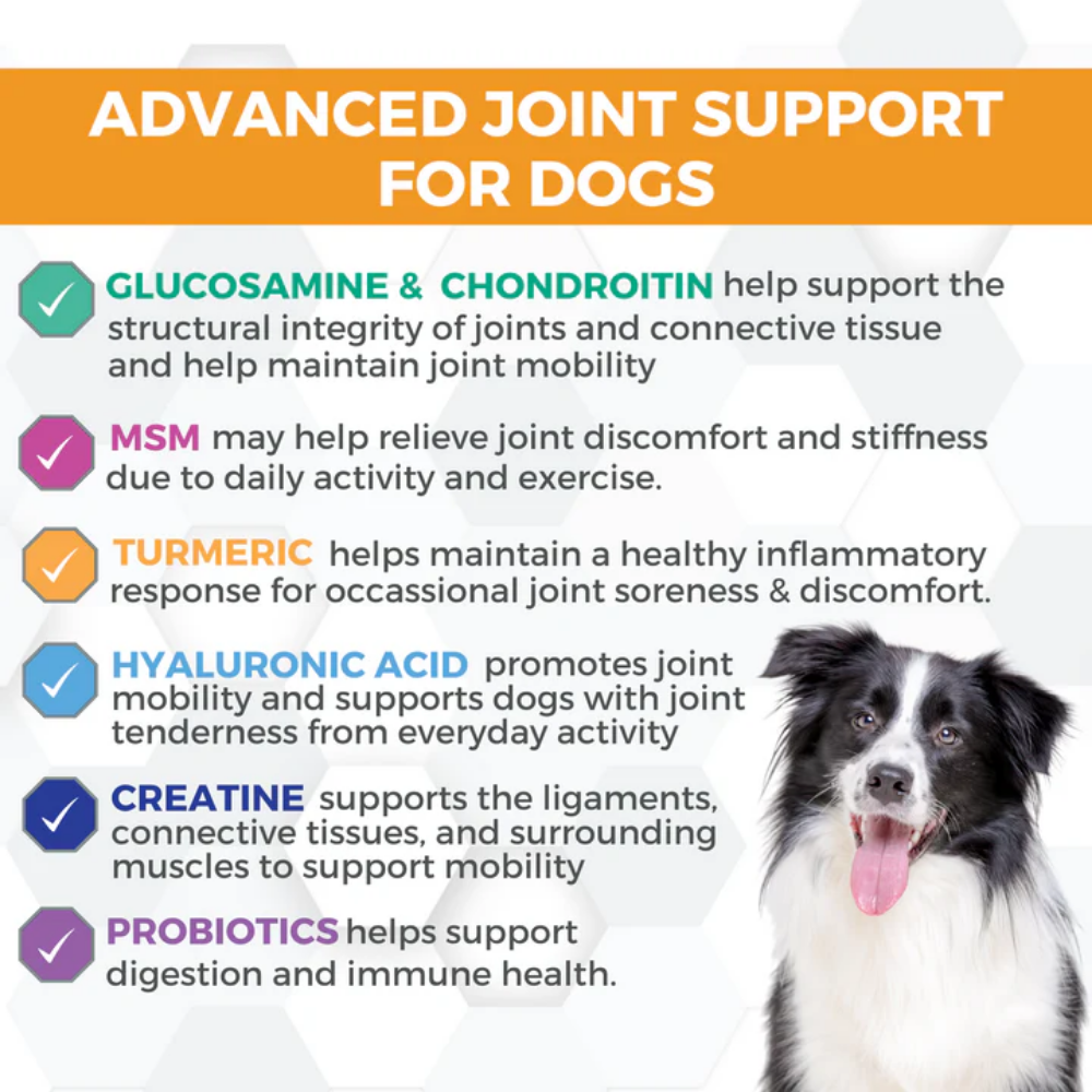 Nootie Progility Soft Chew Supplement Hip and Joint Care for Dogs - 90 Chews