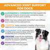 Nootie Progility Soft Chew Supplement Hip and Joint Care for Dogs - 90 Chews