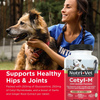 Nutri-Vet Advanced Cetyl-M Joint Action Tablets
