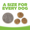 NutriSource Weight Management Chicken and Chicken Meal Dog Food - 12 lbs