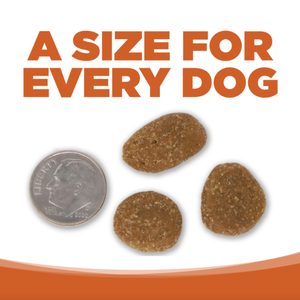 NutriSource Element Series Outback Trails Dog Food - 24 lbs