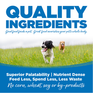 NutriSource Large Breed Chicken and Rice Dog Food - 26 lbs