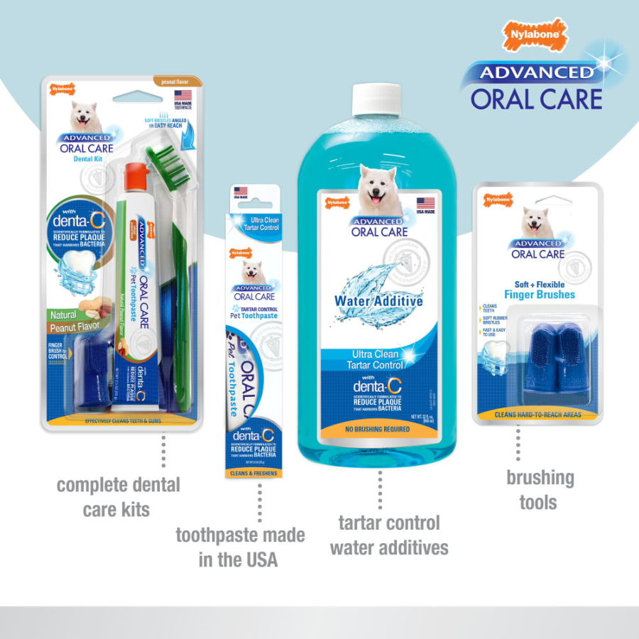 Nylabone Advanced Oral Care Dental Kit Puppy