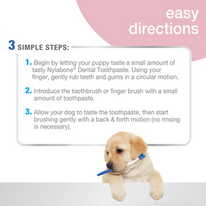 Nylabone Advanced Oral Care Dental Kit Puppy