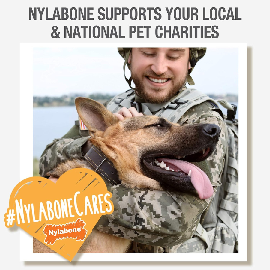 Nylabone DuraChew Bone Chicken
