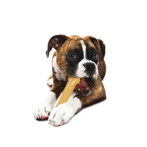 Nylabone DuraChew Bone Original