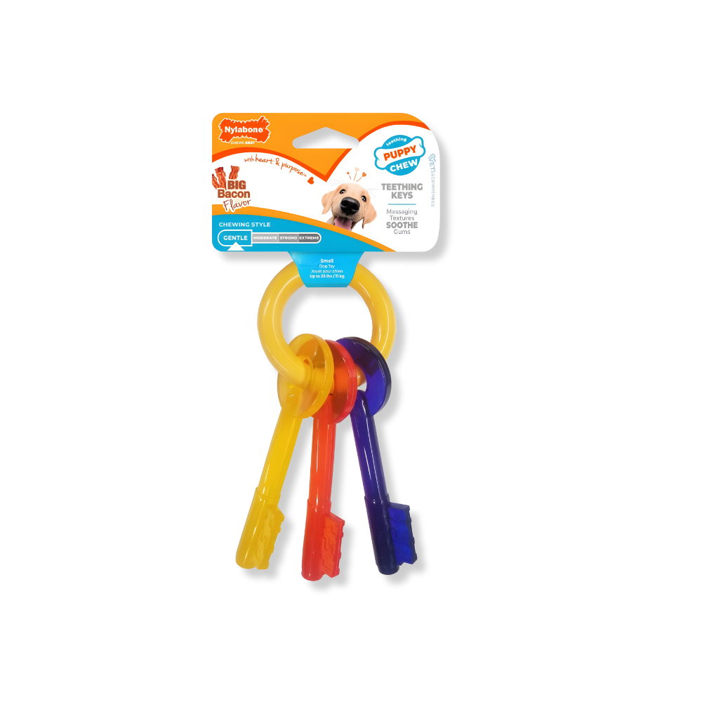 Nylabone Teething Keys for Puppy