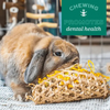 OXBOW Enriched Life Celebration Cone Natural Chews