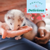 OXBOW Ferret Real Prey Rewards Crunchy and Chewy Turkey - 3 oz