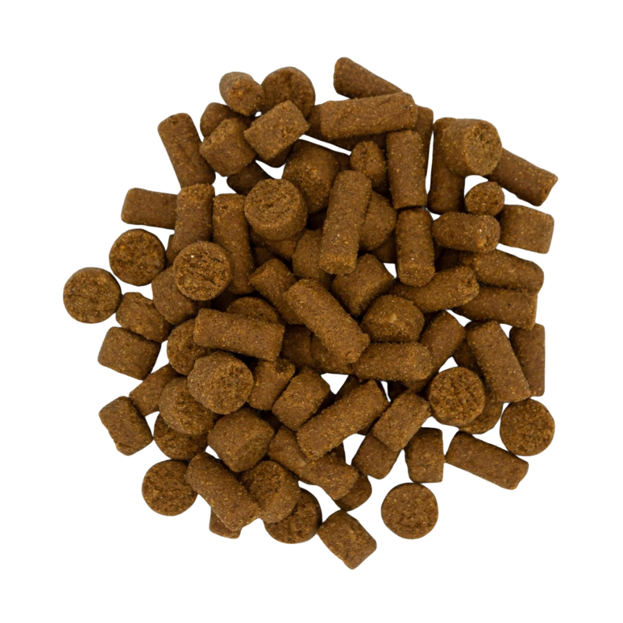 OXBOW Ferret Real Prey Rewards Crunchy and Chewy Turkey - 3 oz