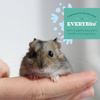 OXBOW Hamster/Gerbil Food - 15 lbs