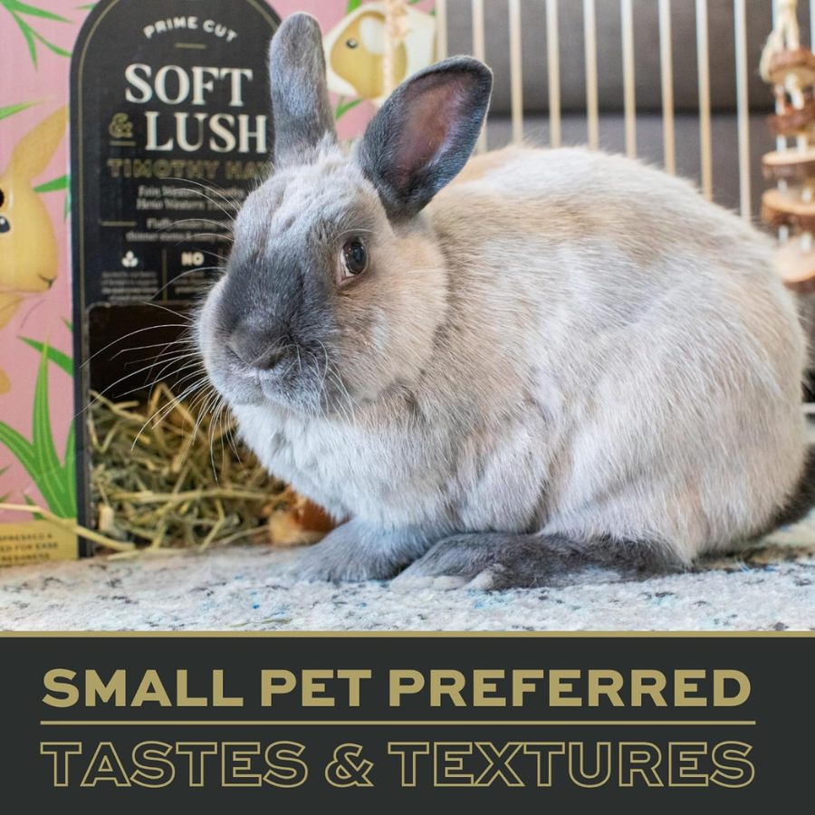 OXBOW Hay Prime Cut Soft and Lush Timothy