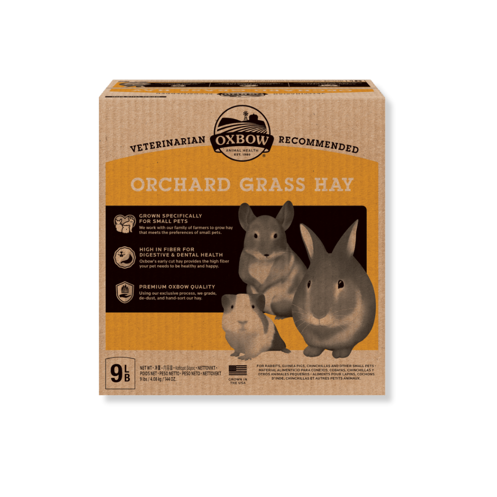 Grassy Hay Rabbit Oxbow Orchard Grass Hay for Rabbits and Guinea Pigs
