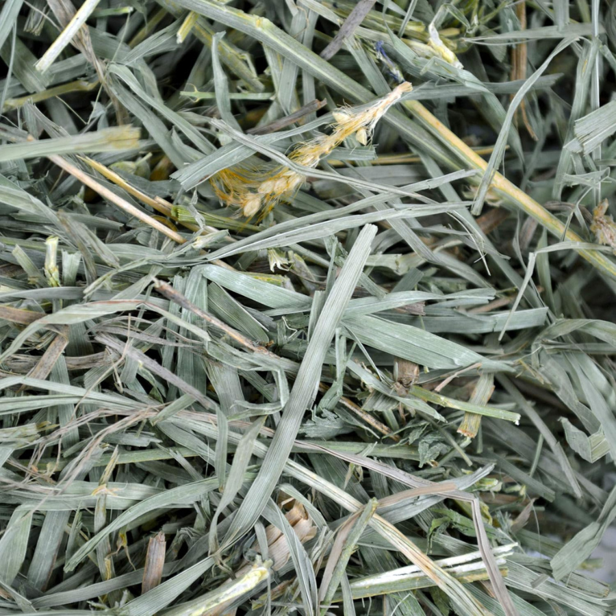 OXBOW Organic Meadow Hay - 2.5 lbs