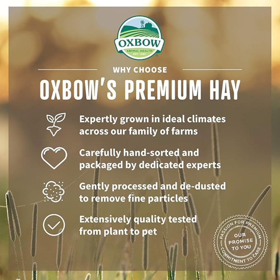 OXBOW Organic Meadow Hay - 2.5 lbs