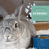 OXBOW Organic Rabbit Food - 3 lbs