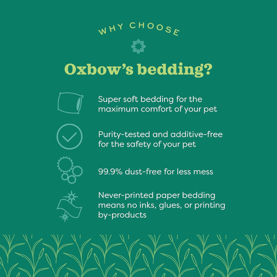 OXBOW Pure Comfort Bedding - Natural